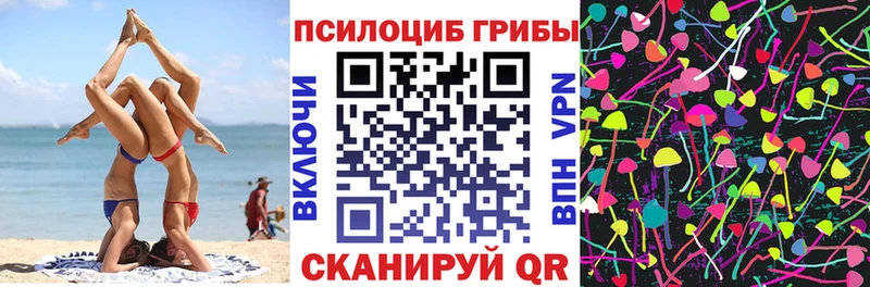 закладки  Курчалой  Галлюциногенные грибы мицелий 