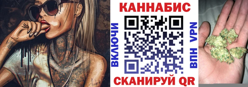 даркнет сайт Курчалой Каннабис сатива